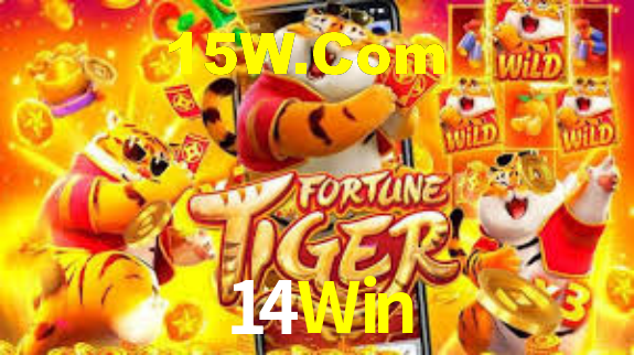 14Win App Interface
